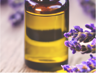 充実のレッスン